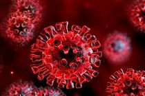 کرونا ویروس در پی جهش ها شدیدتر و عفونی‌تر نشده است