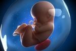 سکسکه جنین در دوران بارداری/ علت سکسکه جنین در رحم چیست؟