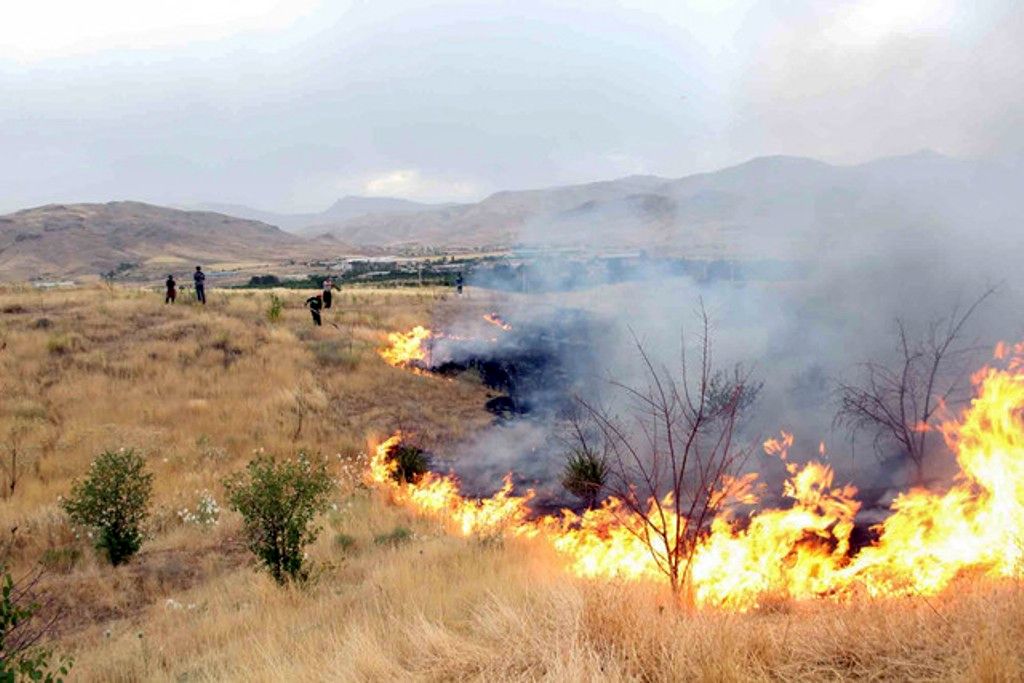 آتش سوزی یک هکتار از اراضی حفاظت شده تیران و کرون مهار شد