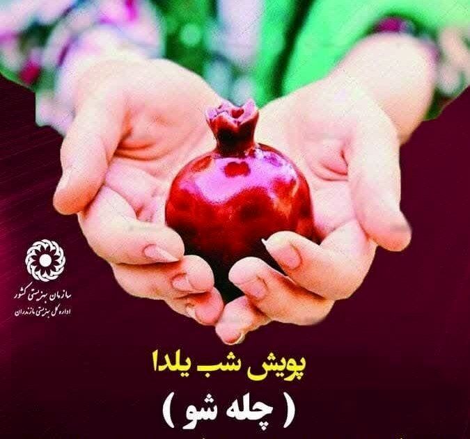 پویش شب یلدا «چله شو» در مازندران