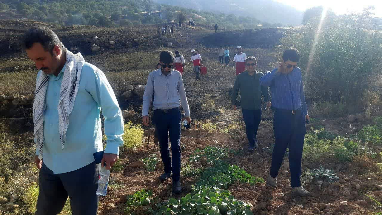 آتش سوزی روستای سفید خانی سیروان مهار شد