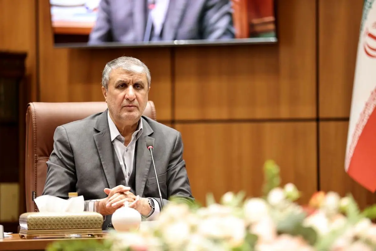 رئیس سازمان انرژی اتمی