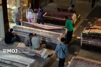 همایش روز ملی فرش در کاشان