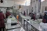 پویش همدلی؛ اقدامی برای اعلام همبستگی بخش تولید و صنعت با مردم