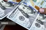 جدیدترین قیمت ارزها در بازار آزاد امروز ۱۶ شهریور ۱۴۰۴