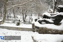 ۷ استان کشور با بارش برف، کولاک و خطر وقوع بهمن روبرو هستند
