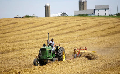 کشاورزان آمریکایی، قربانیان جنگ تجاری دونالد ترامپ هستند