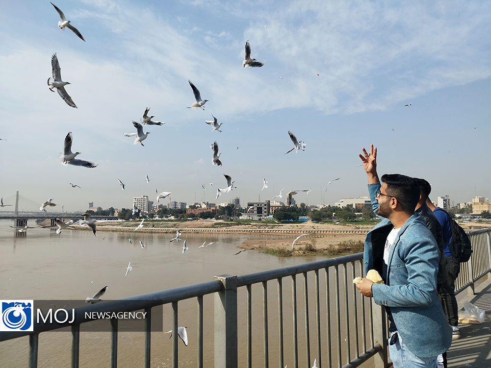کوچ پرندگان مهاجر به استان خوزستان