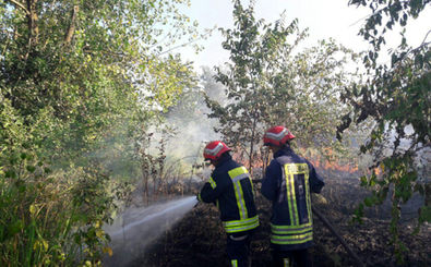 امداد رسانی به شهروندان در ۳۸ مورد حریق و حادثه توسط آتش نشانان رشت