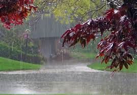 بارش باران در کهگیلویه و بویراحمد از بامداد یکشنبه 