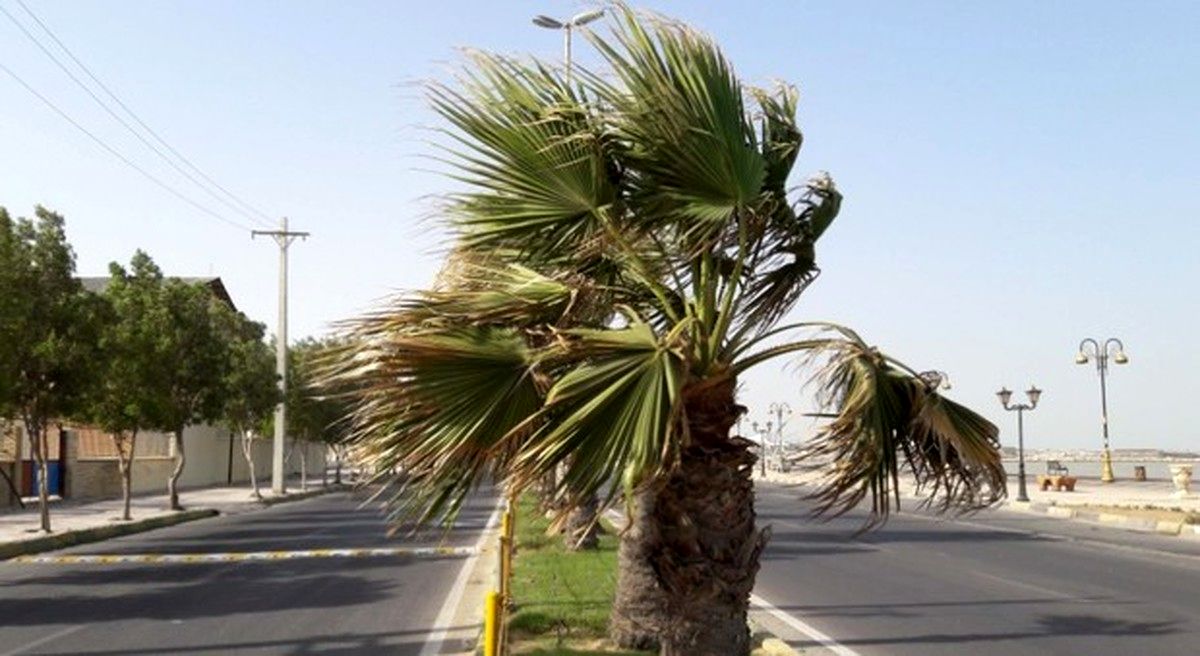 افزایش سرعت باد همراه با گرد و غبار محلی در هرمزگان