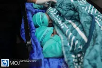 سمن‌های فعال در حوزه تشویق به فرزندآوری در مشهد مجوز می‌گیرند