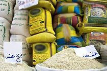 واردات یک میلیون تن برنج در 6 ماهه نخست سال