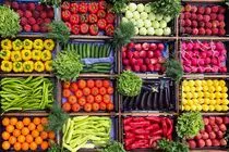 ۹ محصول کشاورزی چهارمحال و بختیاری دارای رتبه‌های برتر کشوری