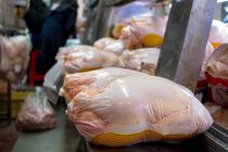 توزیع روزانه ۱۱۰ تن مرغ در استان قم