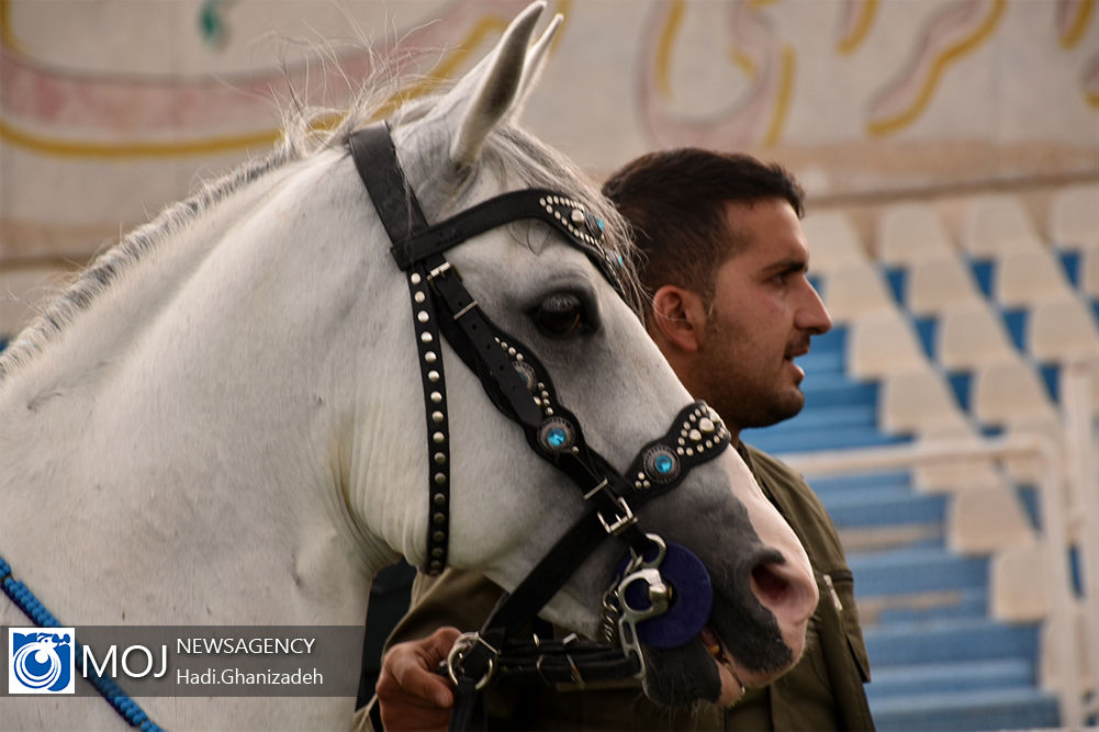 اولین همایش گردشگری اسب به میزبانی یزد برگزار می شود
