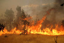 آتش سوزی  یک هکتار از مراتع در منطقه دالانکوه تیران و کرون