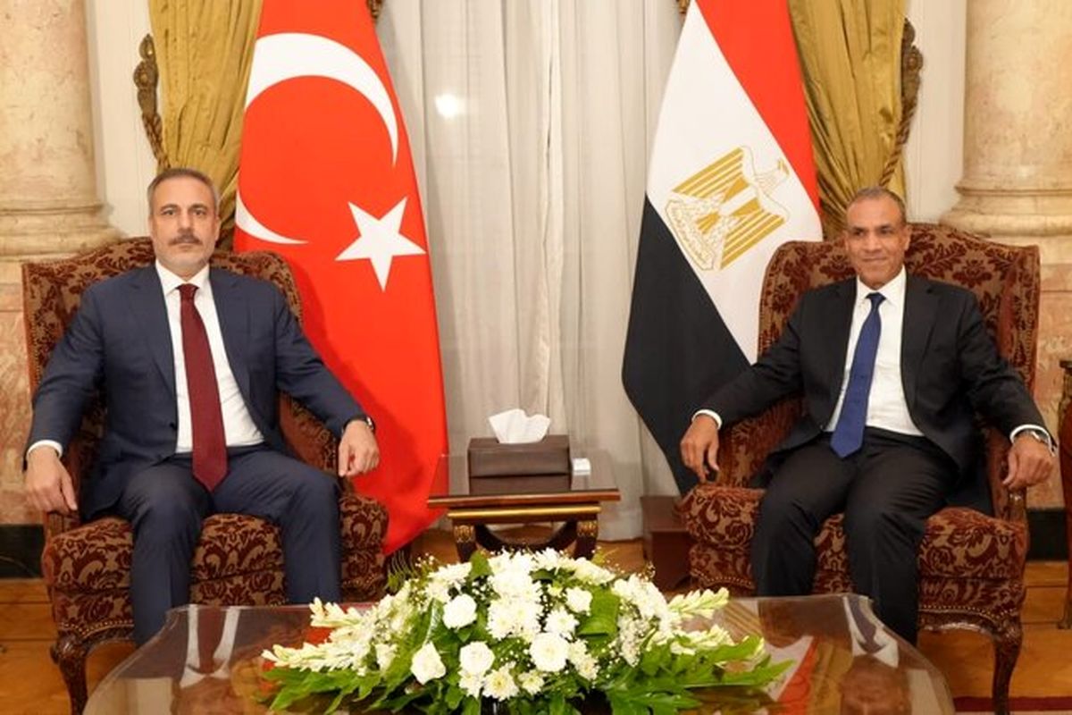 مصر و برزیل