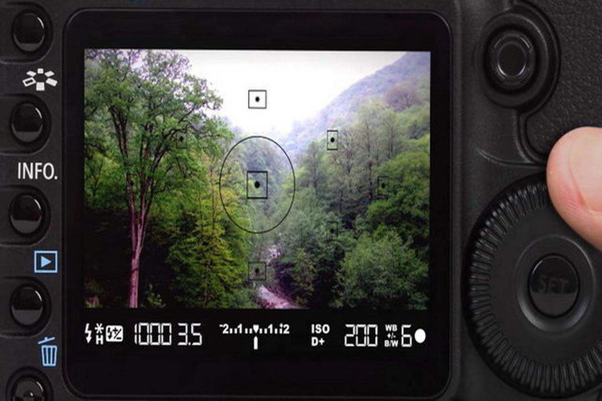 عکاسان راه یافته به نمایشگاه ثبت جهانی جنگل های هیرکانی معرفی شدند