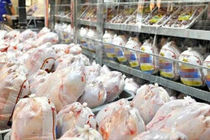 مصرف سرانه واقعی گوشت مرغ در کشور ۳۰ کیلوگرم است