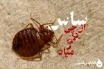 ساس از چی بدش می‌آید؟