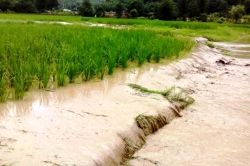 خسارت 48 میلیاردی سیلاب و تگرگ به مزارع شهرستان آران‌ و بیدگل 