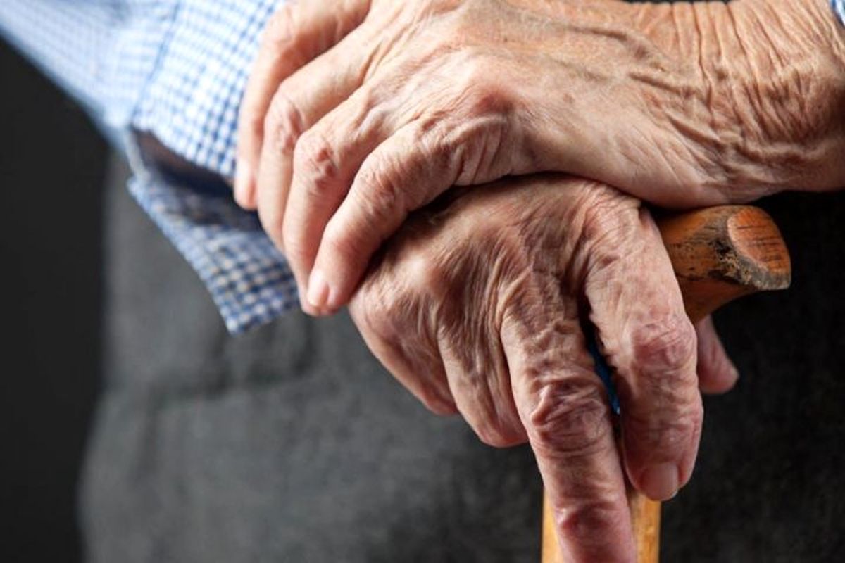 وجود بیش از 28 هزار سالمند تحت حمایت کمیته امداد در اردبیل