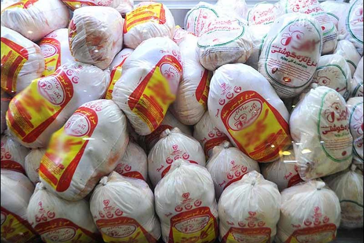 توزیع مرغ منجمد جهت تنظیم بازار در فارس