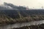 هواپیمای آب‌پاش ایرانی برای مهار آتش‌سوزی بخش عراقی هورالعظیم اعزام شد