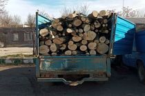 توقیف یک دستگاه وانت نیسان حامل چوب آلات جنگلی در اردبیل 