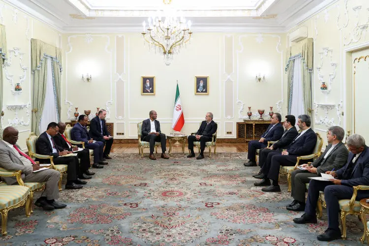 بریکس الگوی نوین همکاری چندجانبه است