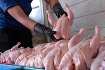 ممنوعیت صادرات مرغ در اسفند و فروردین تصویب شد