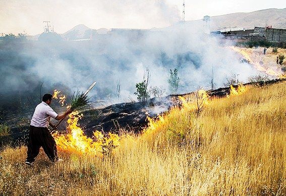 آتش، 25هکتار ازمراتع باغملک را از بین برد