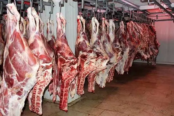 مجوز واردات گوشت قرمز صادر شد