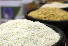 بازار برنج ایرانی رها شده است/لزوم برخورد دولت با شرکتهای دلال حوزه برنج