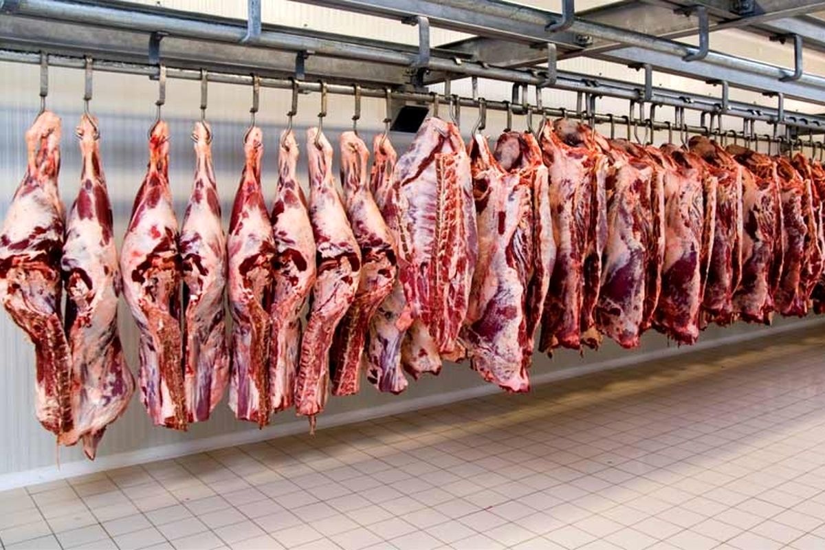تعرفه واردات گوشت قرمز افزایش یابد