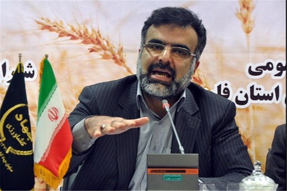 نیروی فنی برای اجرای پروژه ایران-سیمیت در فارس وجود دارد