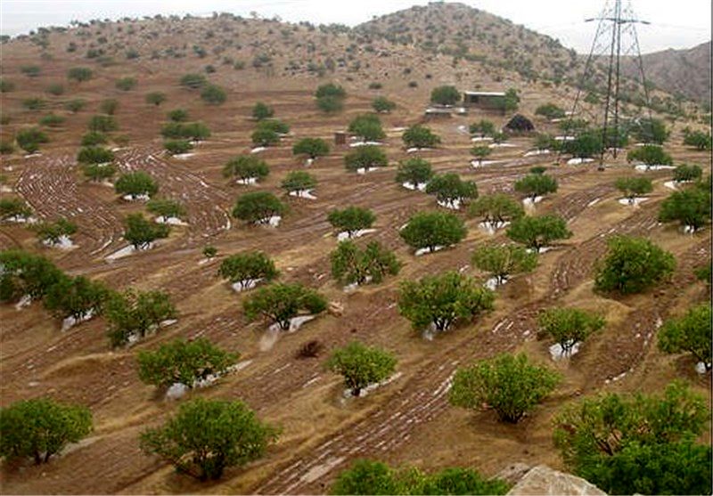 ۹۰۰ هزار هکتار از اراضی استان اردبیل در سامانه حدنگار جانمایی شده است