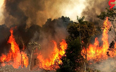 آتش سوزی در جنگل‌های منطقه حفاظت شده شهرستان دنا