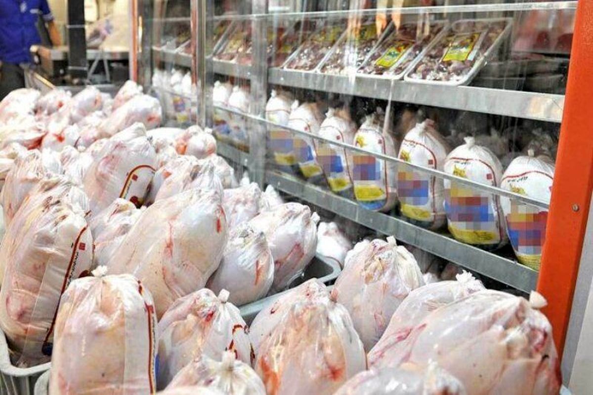 قیمت مرغ منجمد در کردستان کاهش یافت