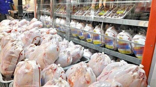 توزیع 60 تن مرغ منجمد تنظیم بازاری در بابل