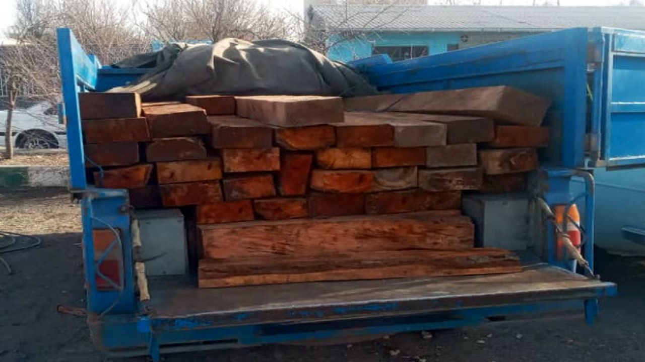 کشف 50 اصله قنداق قاچاق جنگلی در اردبیل