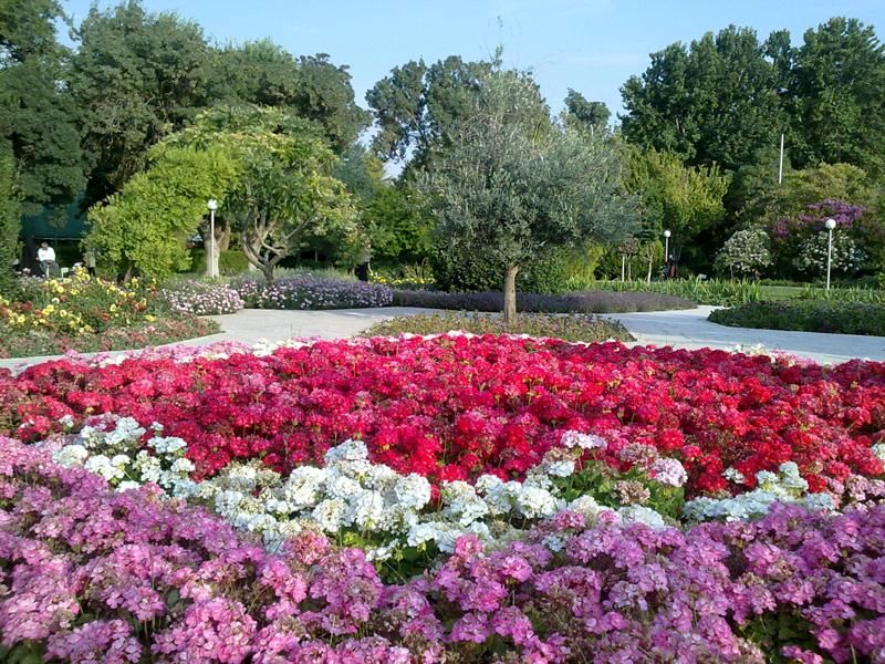 جشنواره گل‌های لاله در باغ گلهای اصفهان برگزار می شود