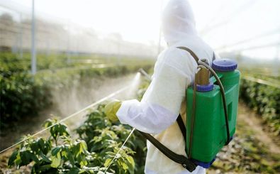 مبارزه به موقع با بیماری ها افزایش ۳۰ درصدی محصولات کشاورزی را در پی داشت