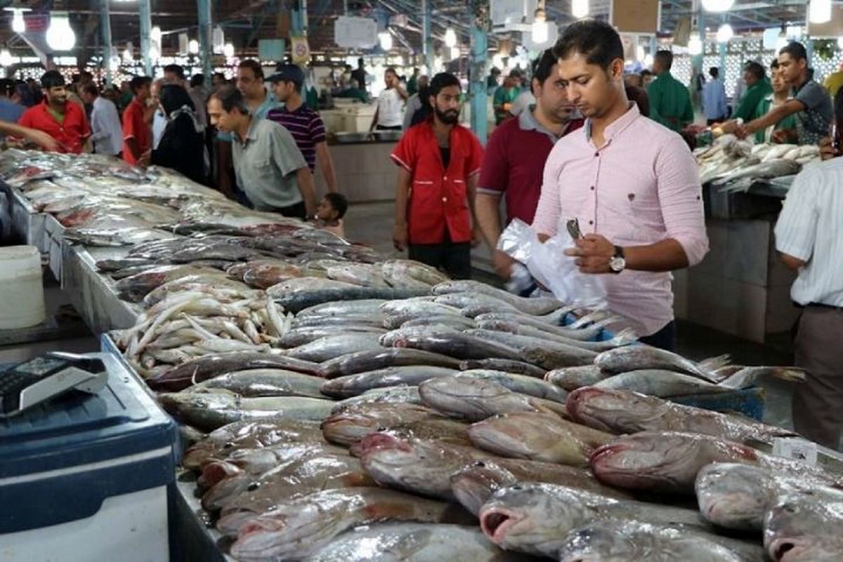قیمت انواع ماهی در میادین و بازارهای میوه و تره بار شهرداری تهران