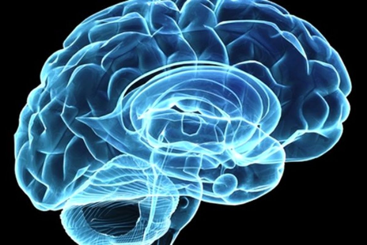 نقشه برداری از مغز با جدیدترین تجهیزات انجام می گیرد