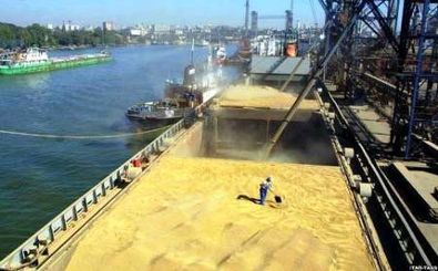 صادرات اولین محموله گندم از خوزستان به عمان آغاز شد