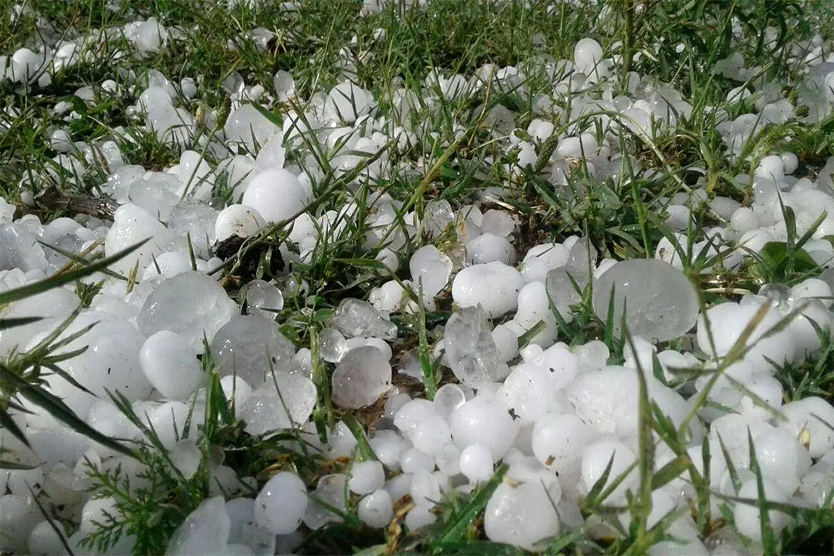 احتمال بارش باران بهصورت رگبار، تگرگ و مه در آذربایجانشرقی