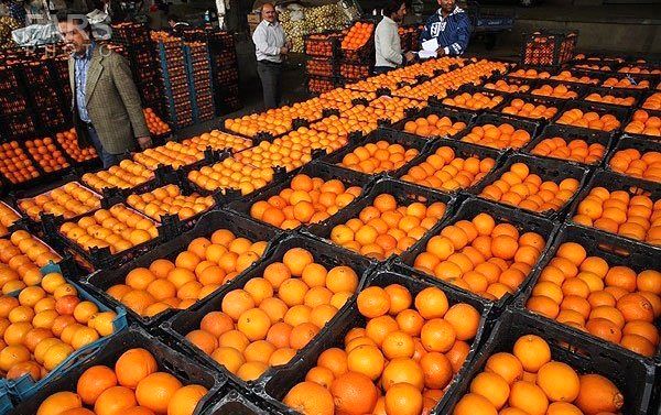 ذخیره سازی دو هزار و 500 تن میوه شب عید در خوزستان