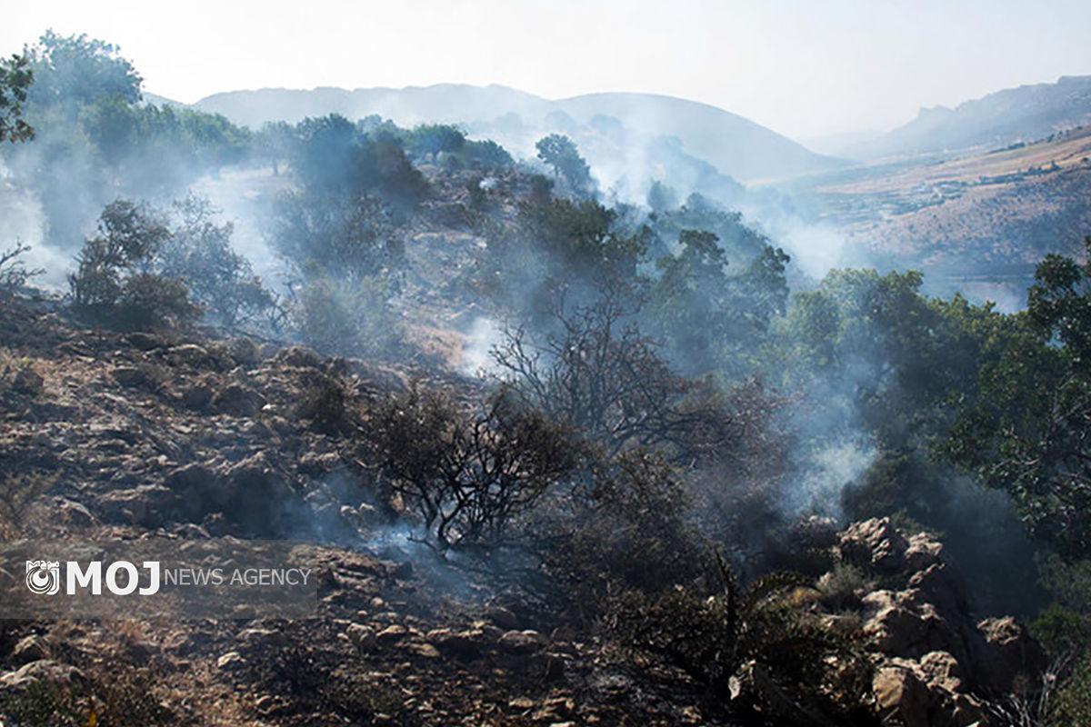 آتش سوزی پوشش جنگلی مله کوه رومشکان مهار شد